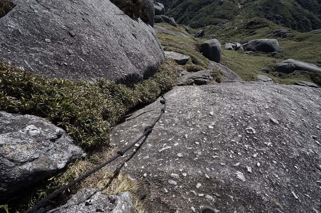 f:id:y0my:20160806085353j:plain