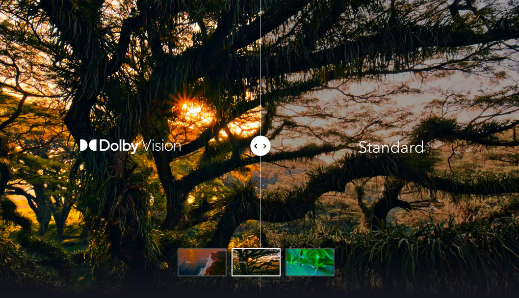 Dolby Visionのデモ画像