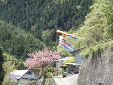 f:id:y10k:20090426105513j:image