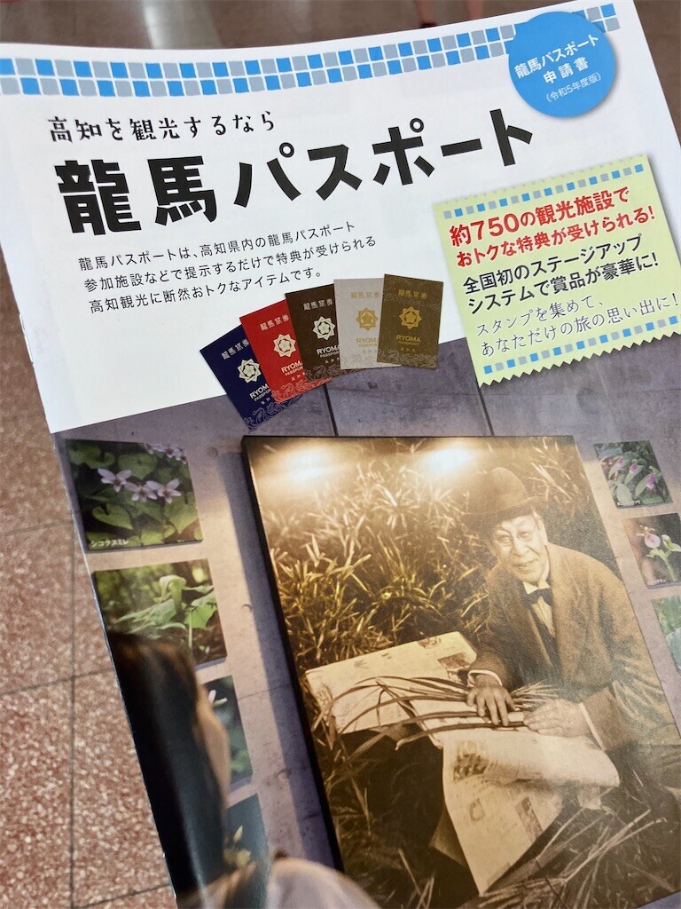 f:id:y141:20230803155122j:image