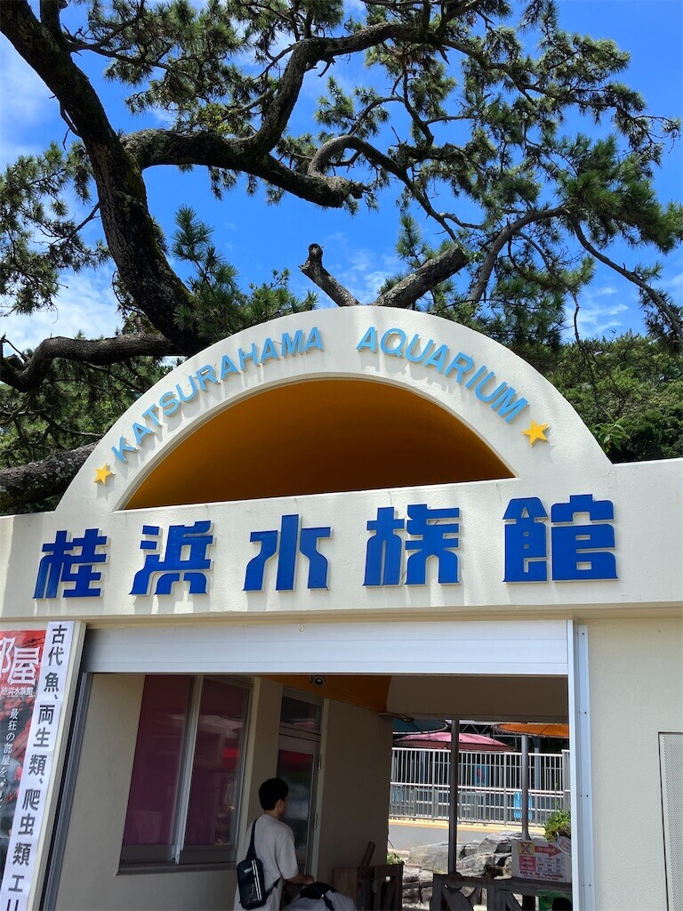 f:id:y141:20230806091114j:image