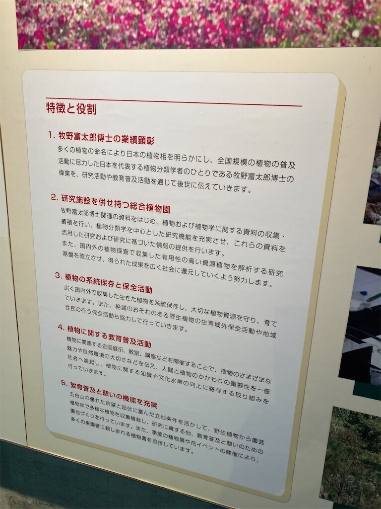 f:id:y141:20230806122551j:image