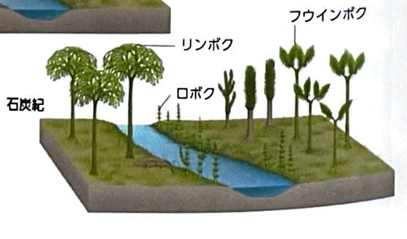 【地学基礎】〈古生物の変遷②〉古生代 - 地学教材置き場