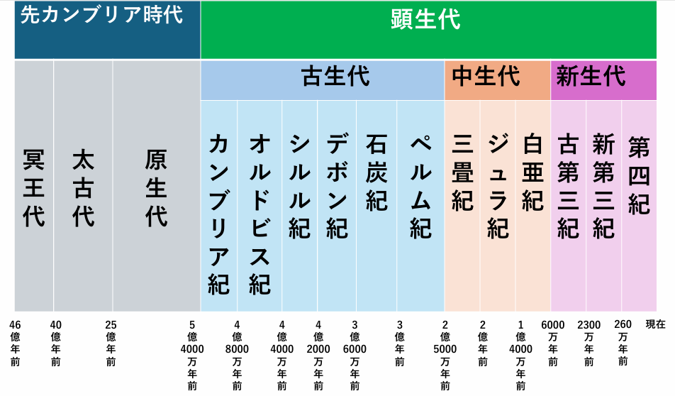 【地学基礎】〈古生物の変遷④〉新生代 - 地学教材置き場