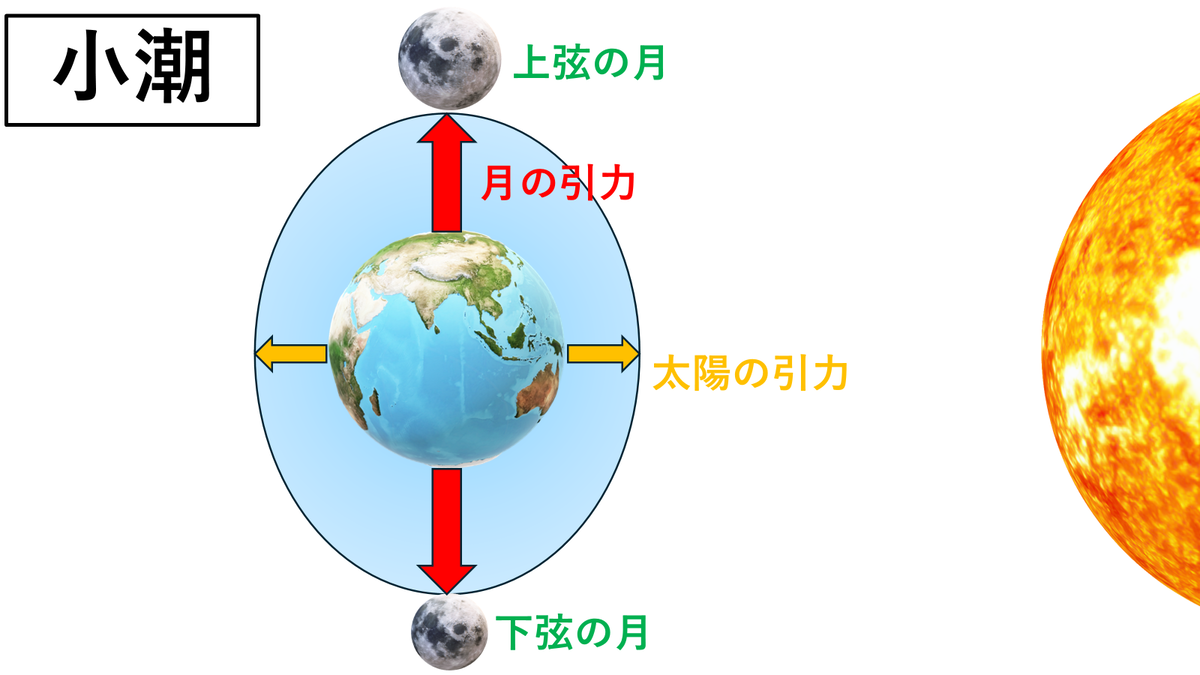 【地学】潮汐（大潮・小潮）｜高校地学 - 地学教材置き場
