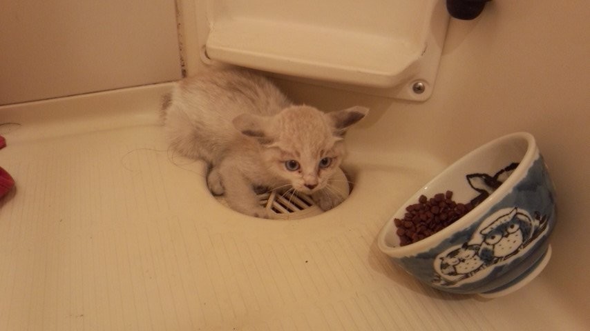 f:id:y2_naranja:20140913180016j:plain