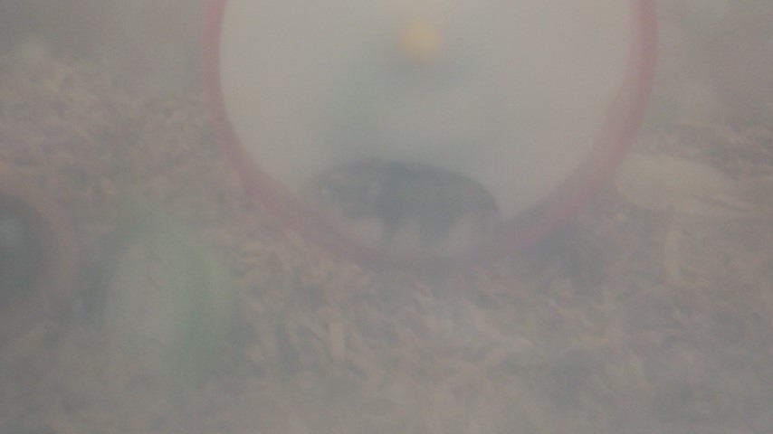 f:id:y2_naranja:20150609003147j:image