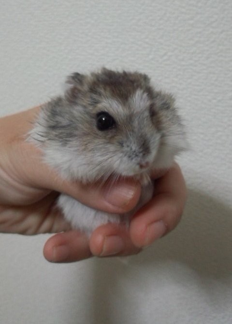 f:id:y2_naranja:20150810193659j:image f:id:y2_naranja:20150810193659j:image