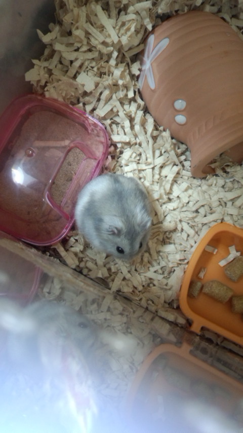 f:id:y2_naranja:20151120002948j:plain