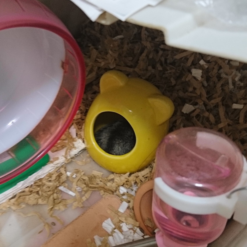 f:id:y2_naranja:20180704003214j:plain