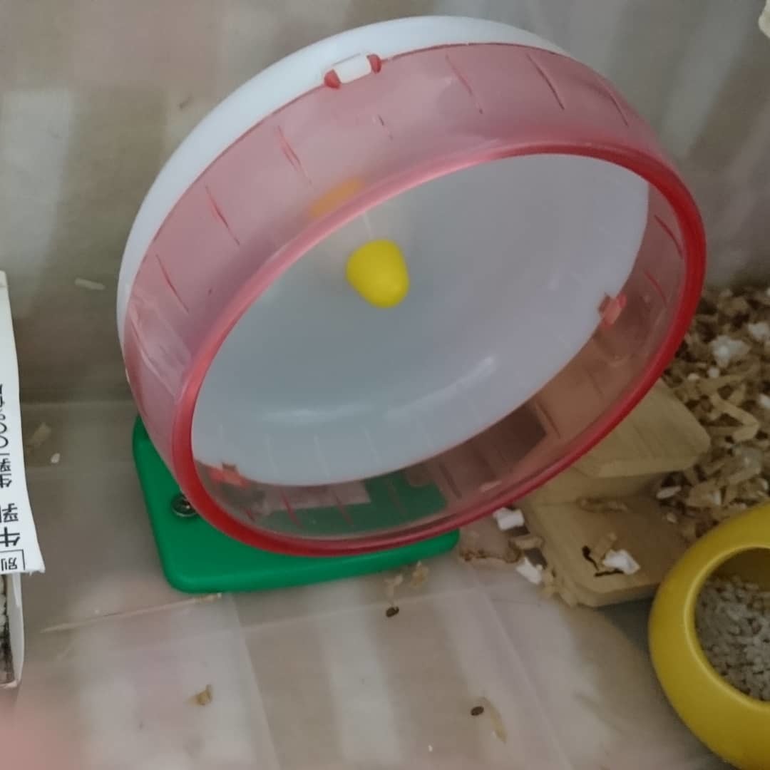 f:id:y2_naranja:20180902184634j:plain