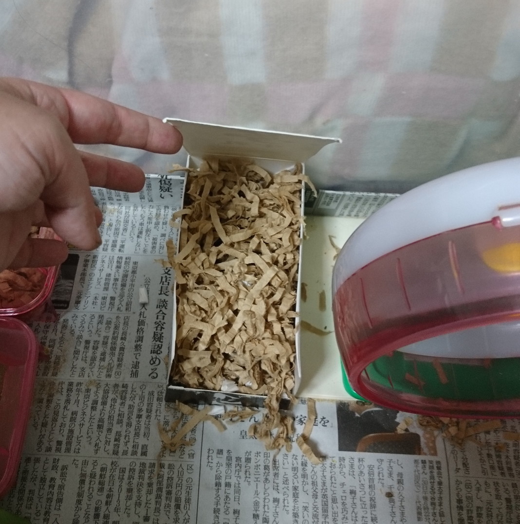 f:id:y2_naranja:20181118000554j:plain