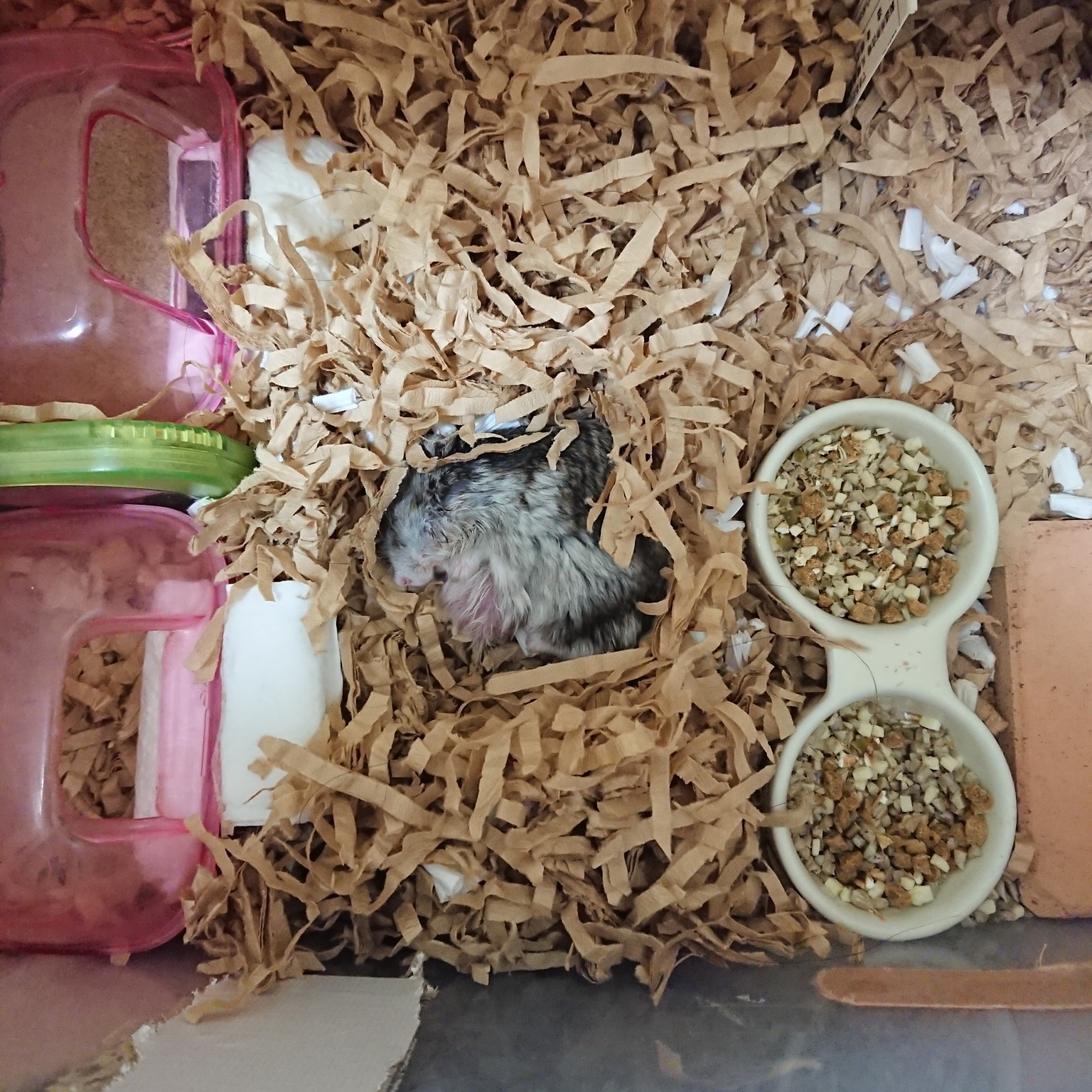 f:id:y2_naranja:20190509005659j:plain