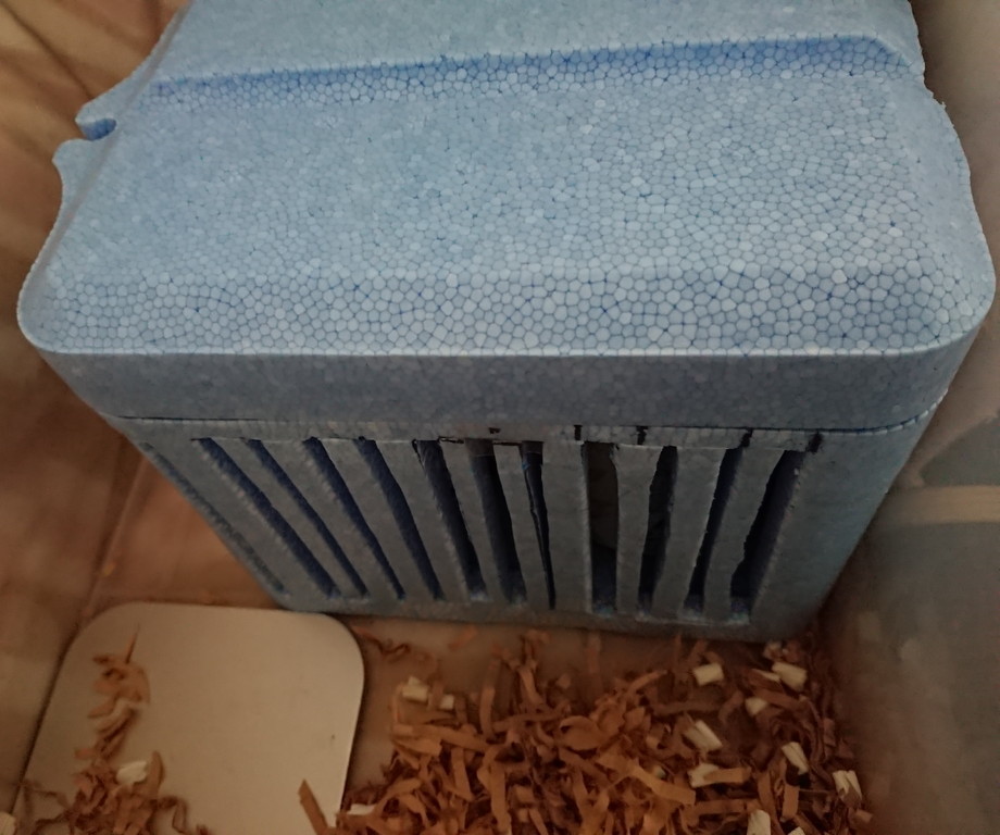 f:id:y2_naranja:20190525150548j:plain