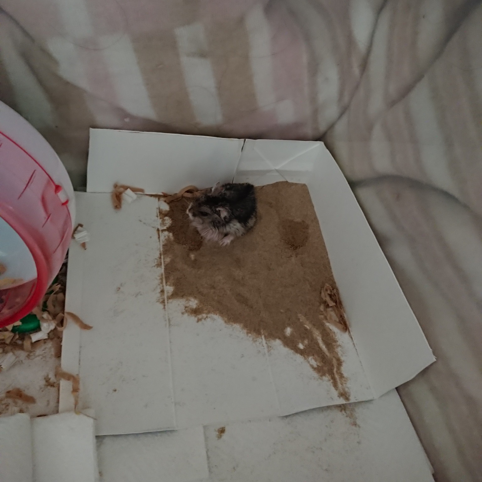 f:id:y2_naranja:20190530131658j:plain