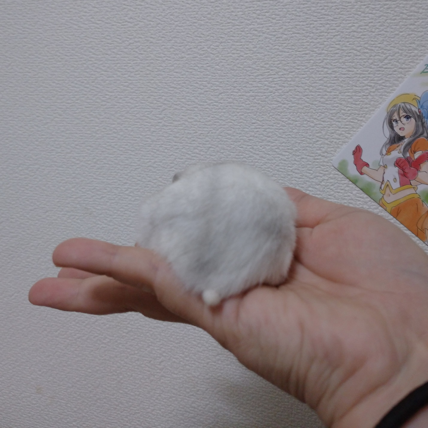 f:id:y2_naranja:20190823213937j:plain