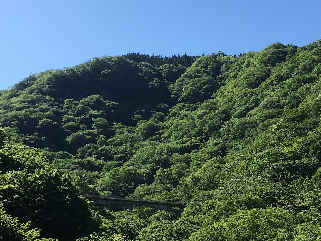 f:id:y2mam:20170613221011j:image f:id:y2mam:20170613221011j:image