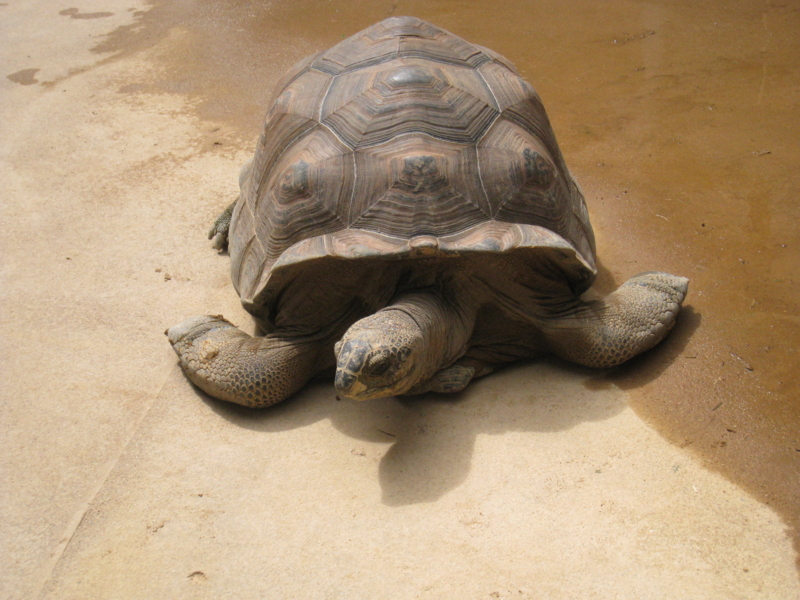 f:id:y2squared:20110831110545j:image:w360 f:id:y2squared:20110831110545j:image:w360