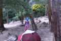 20100403104511