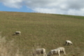 20100407101629