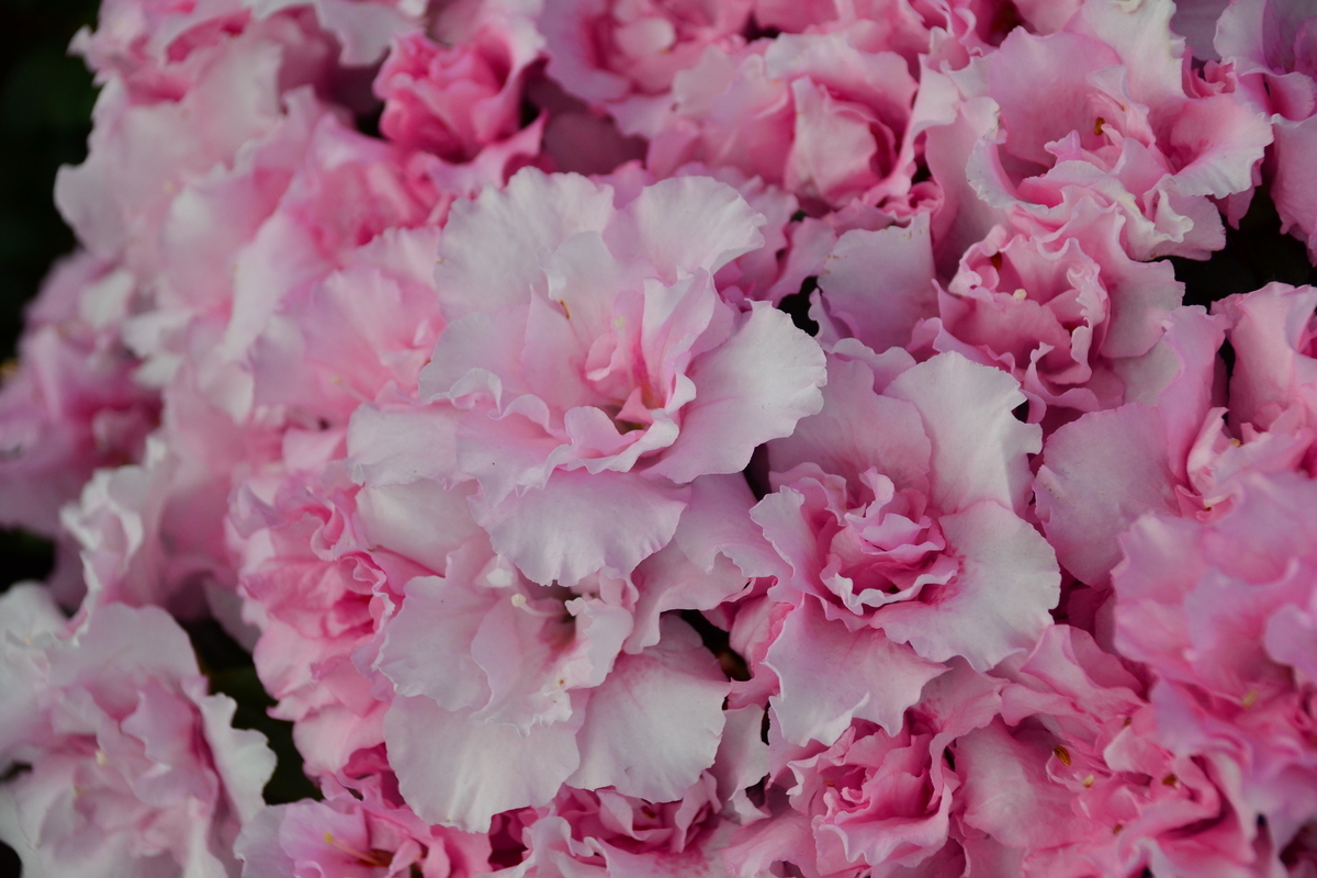 f:id:y3575t3545:20210228133131j:plain