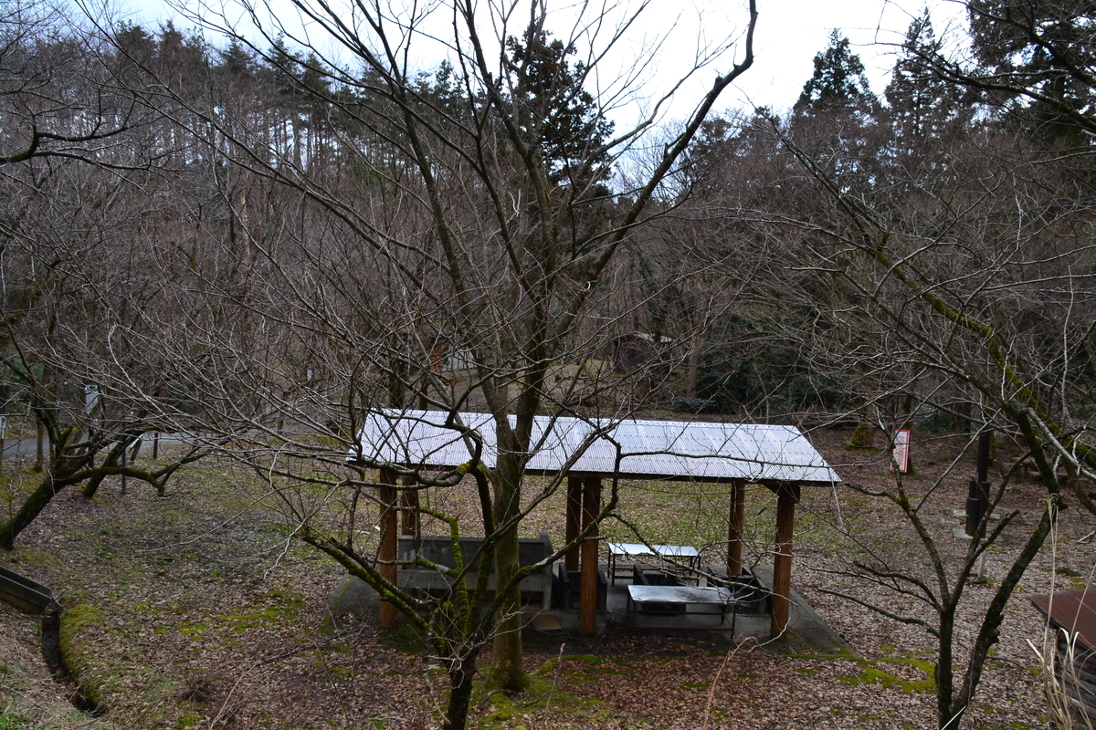 f:id:y3575t3545:20210318144331j:plain