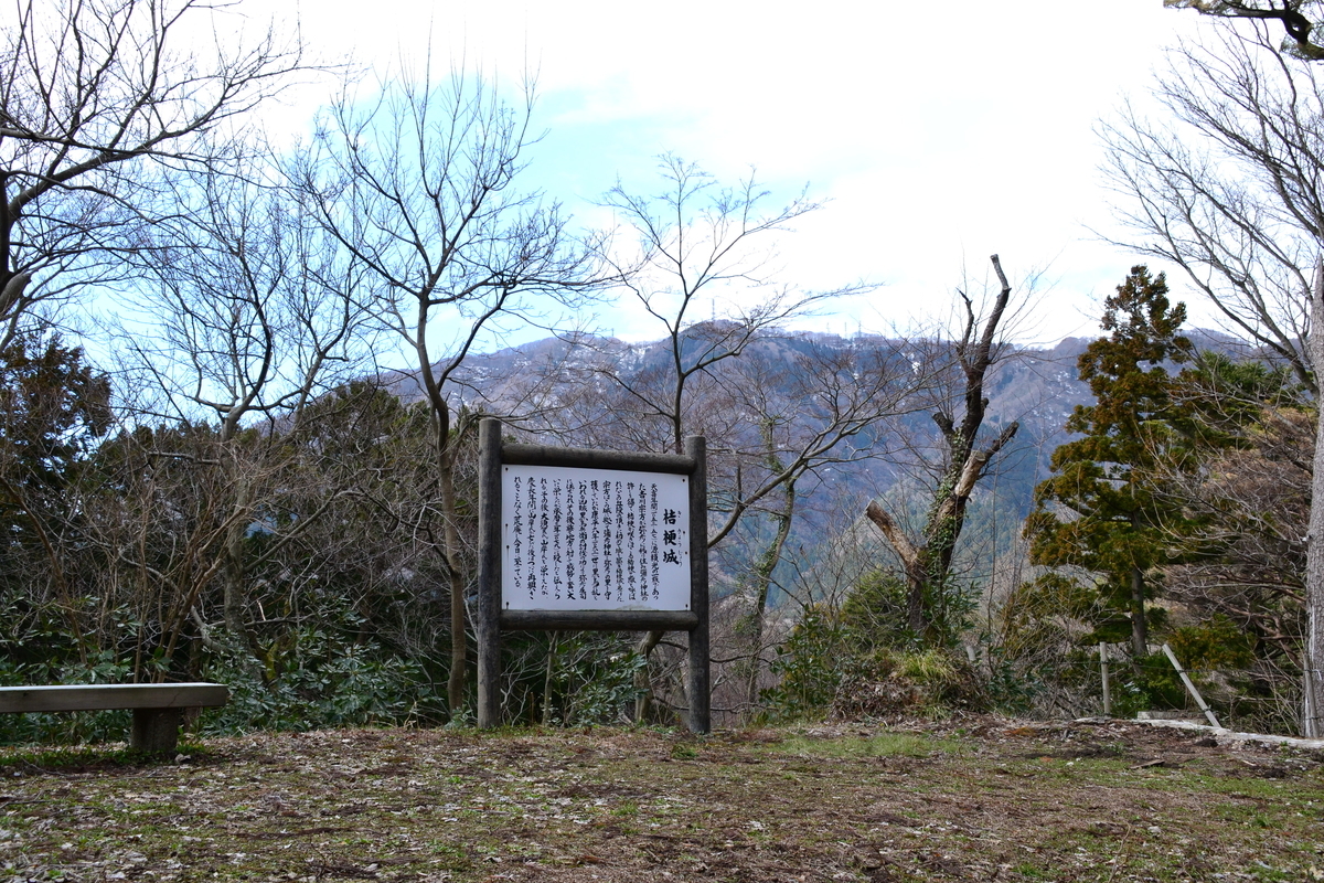 f:id:y3575t3545:20210318150829j:plain