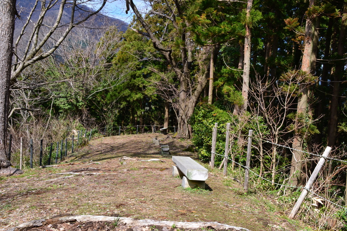 f:id:y3575t3545:20210318150855j:plain