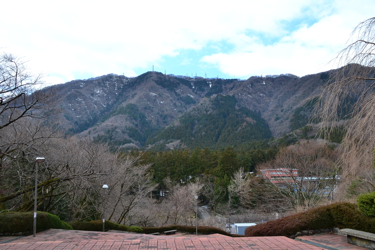 f:id:y3575t3545:20210318161448j:plain