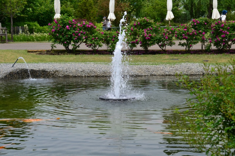 f:id:y3575t3545:20210529104256j:plain