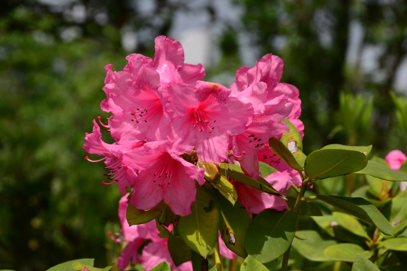 f:id:y3575t3545:20210529110440j:plain