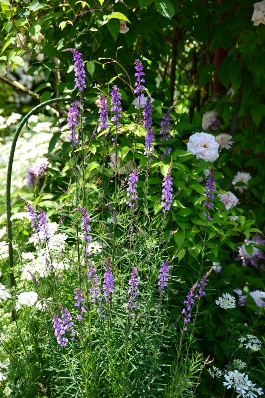 f:id:y3575t3545:20210612111146j:plain