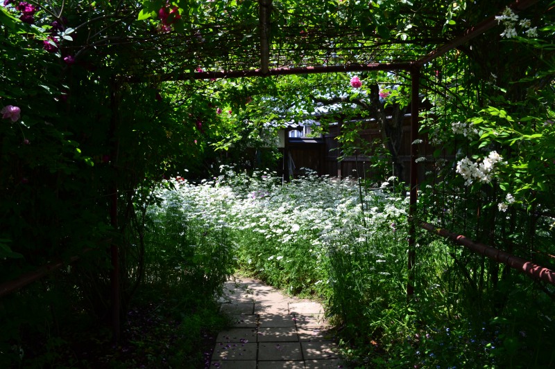 f:id:y3575t3545:20210612112801j:plain