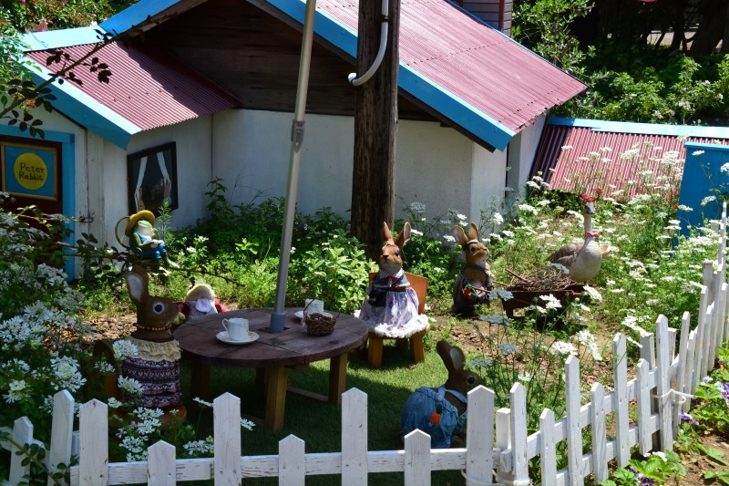 f:id:y3575t3545:20210612113334j:plain