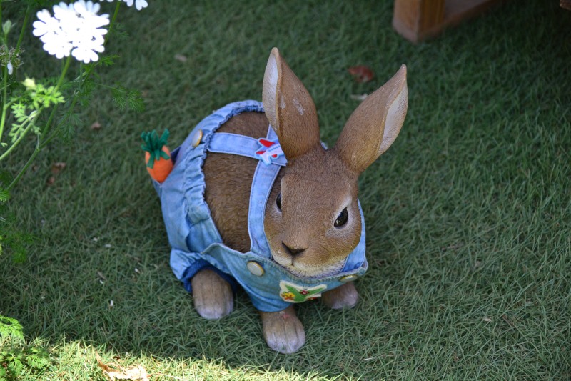 f:id:y3575t3545:20210612113637j:plain