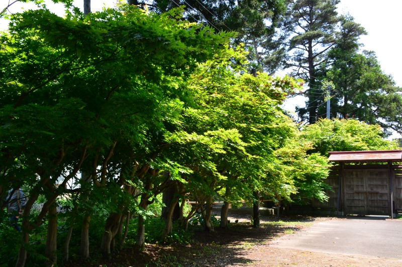 f:id:y3575t3545:20210612114355j:plain