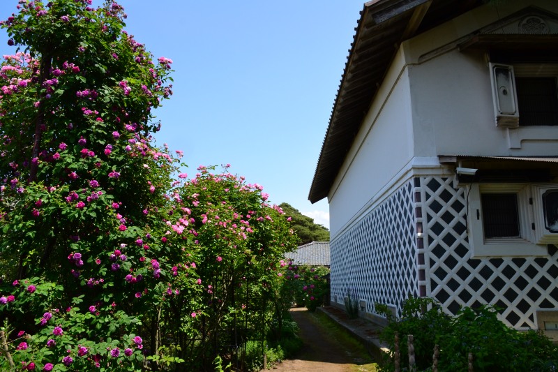 f:id:y3575t3545:20210612114844j:plain