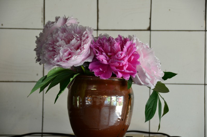 f:id:y3575t3545:20210612120522j:plain