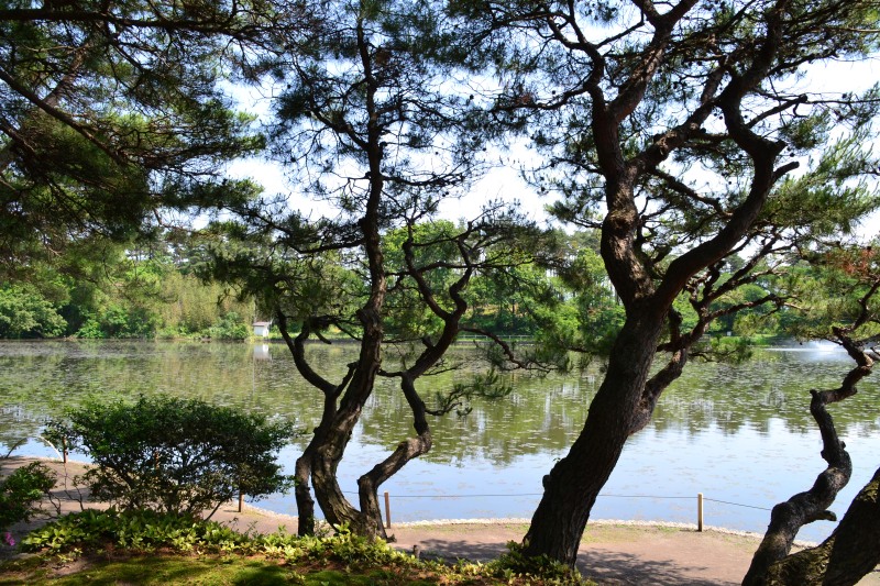 f:id:y3575t3545:20210616212912j:plain