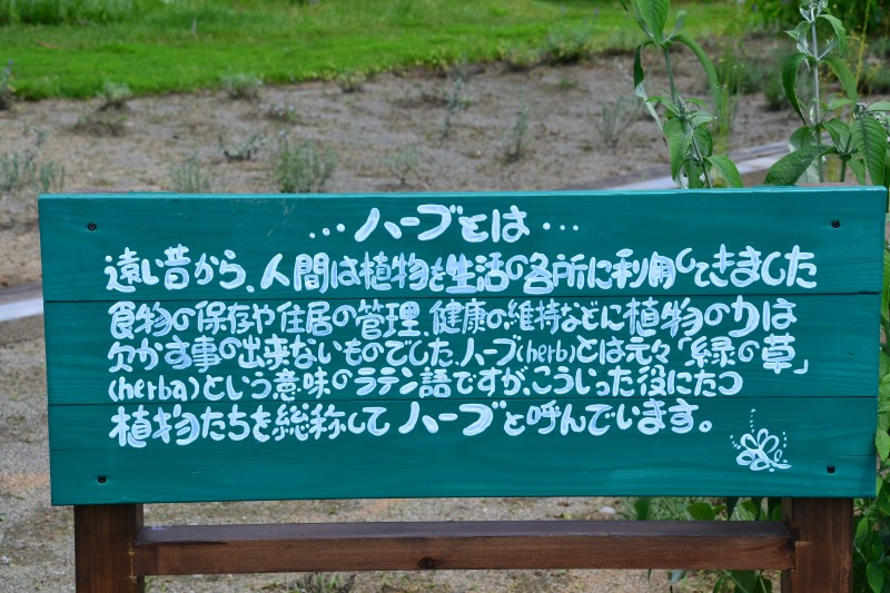 f:id:y3575t3545:20210802232059j:plain