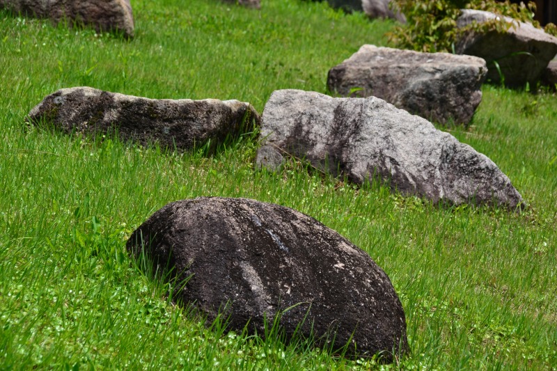 f:id:y3575t3545:20210808174103j:plain