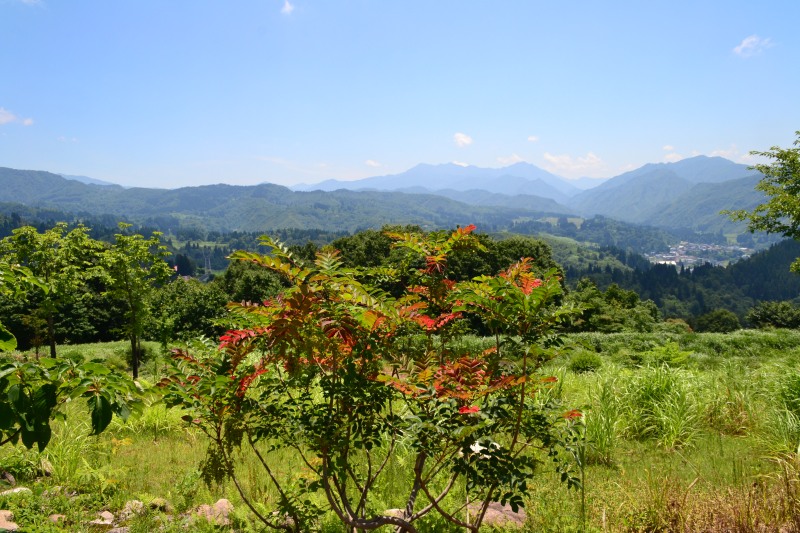 f:id:y3575t3545:20210808214201j:plain