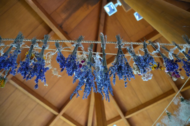 f:id:y3575t3545:20210808215516j:plain