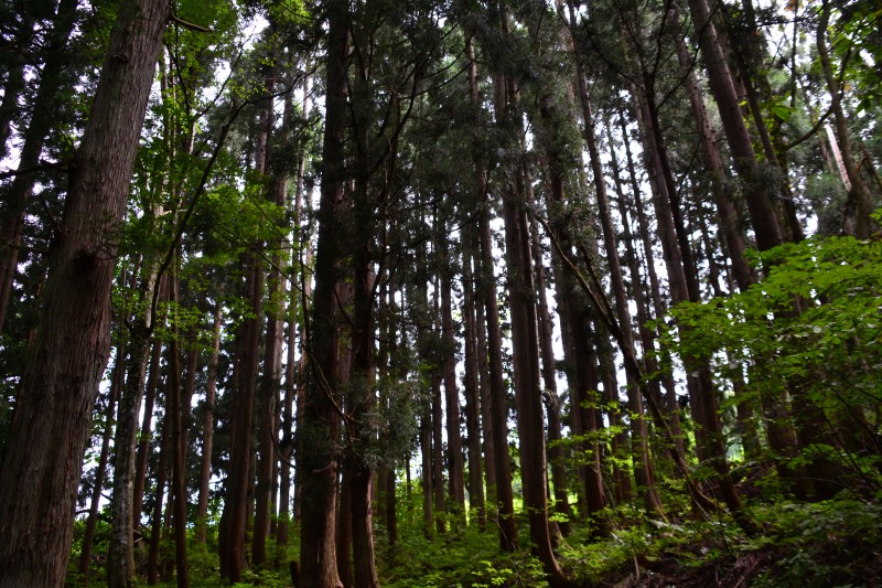 f:id:y3575t3545:20210826222052j:plain