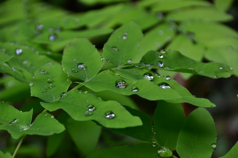 f:id:y3575t3545:20210826222736j:plain