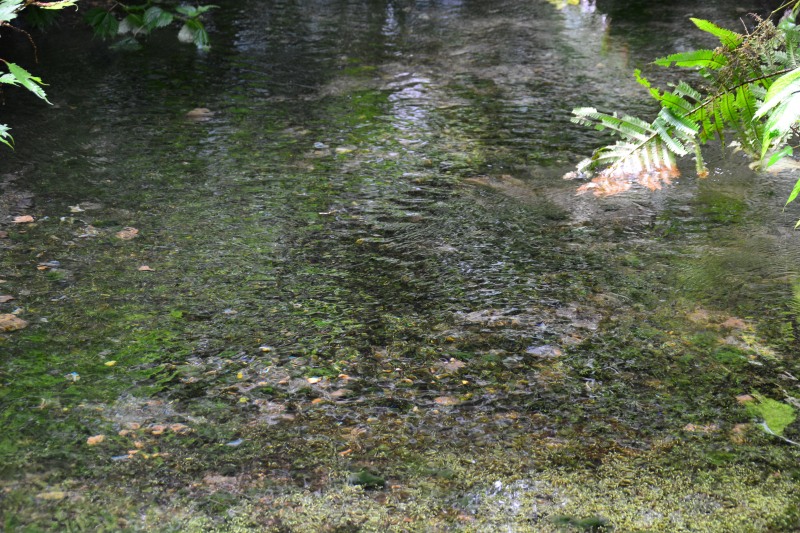 f:id:y3575t3545:20210826223143j:plain