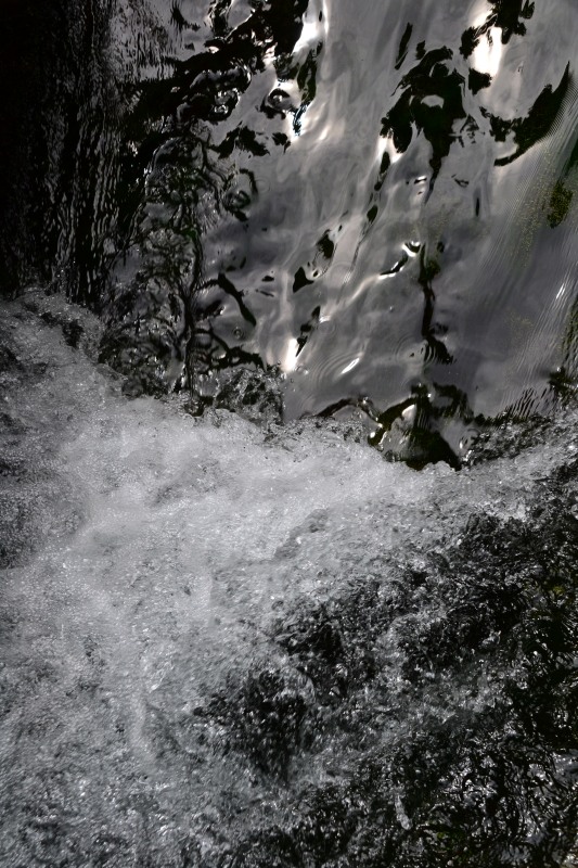 f:id:y3575t3545:20210826223335j:plain