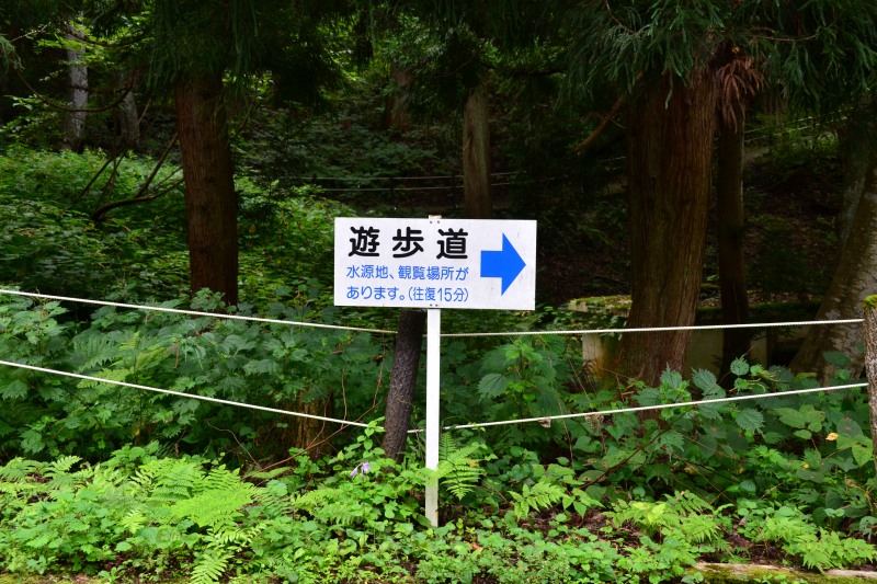 f:id:y3575t3545:20210827123801j:plain