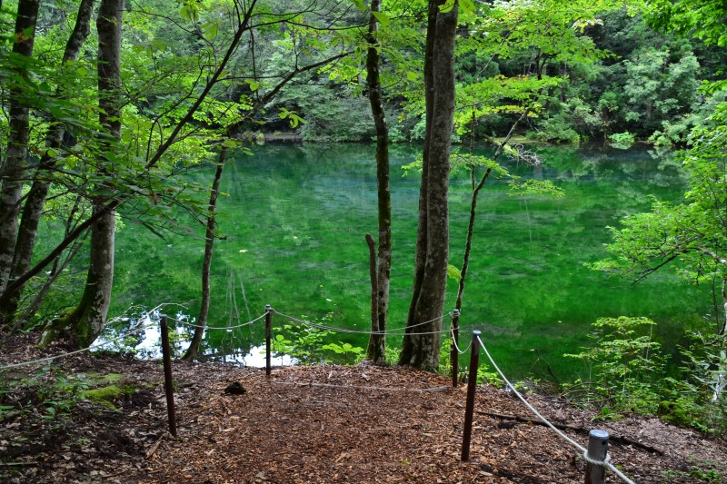 f:id:y3575t3545:20210827124643j:plain