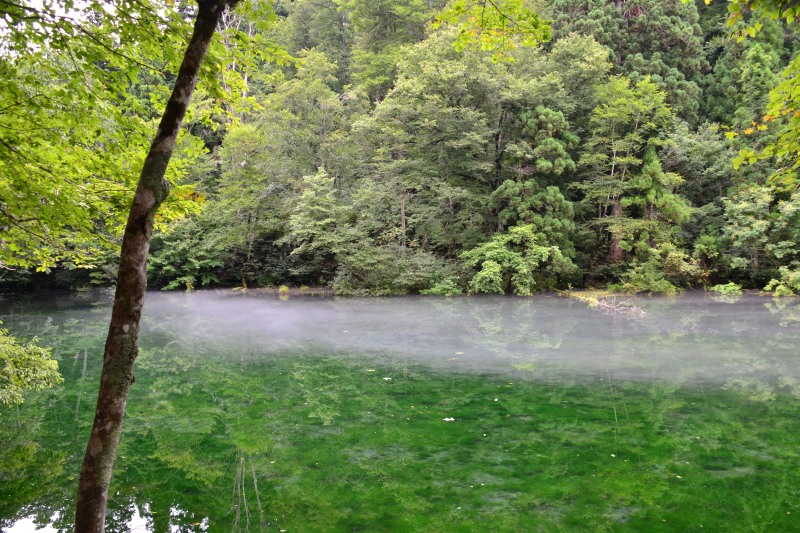 f:id:y3575t3545:20210827133218j:plain